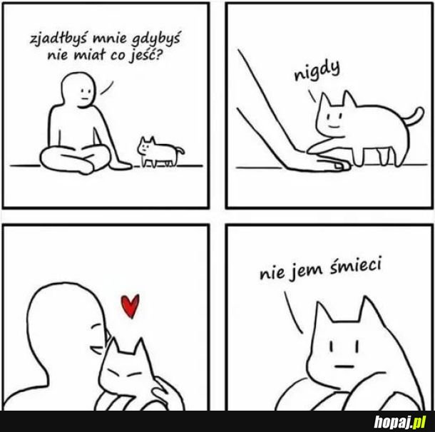To jest miłość