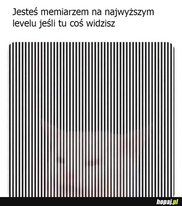 Co widzisz?