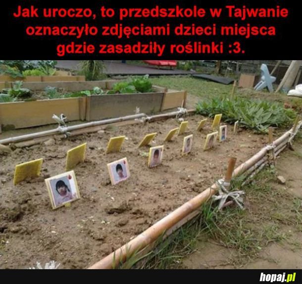 Przedszkole w Tajwanie