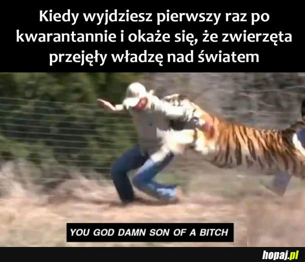 Władza nad światem