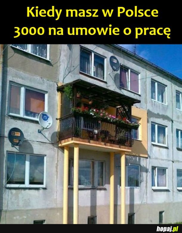 Bogactwo