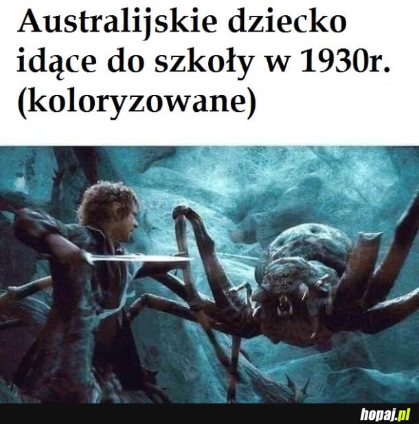  tak było 