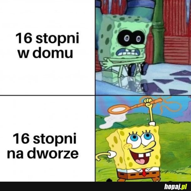 16 stopni