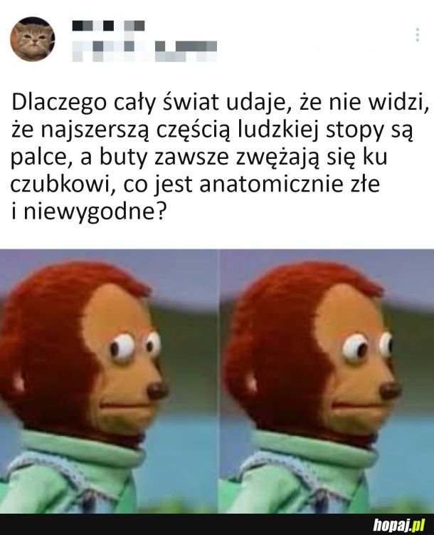 No właśnie..