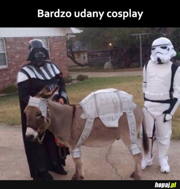 Cosplay