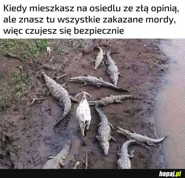 Moje mordeczki