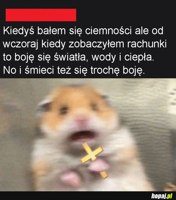 Strach przed rachunkami