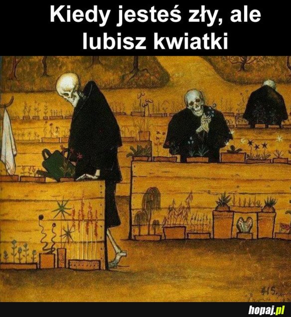 NATURA JEST PIĘKNA