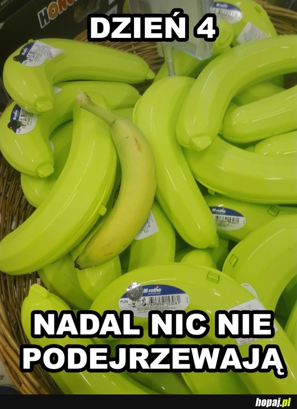 NADAL NIE PODEJRZEWAJĄ