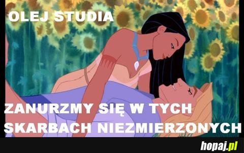 Olej studia