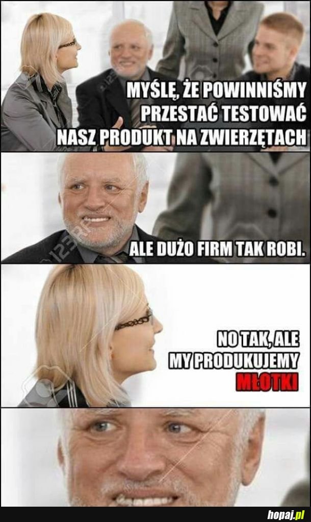 Testy na zwierzętach 