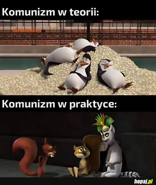 Teoria i praktyka