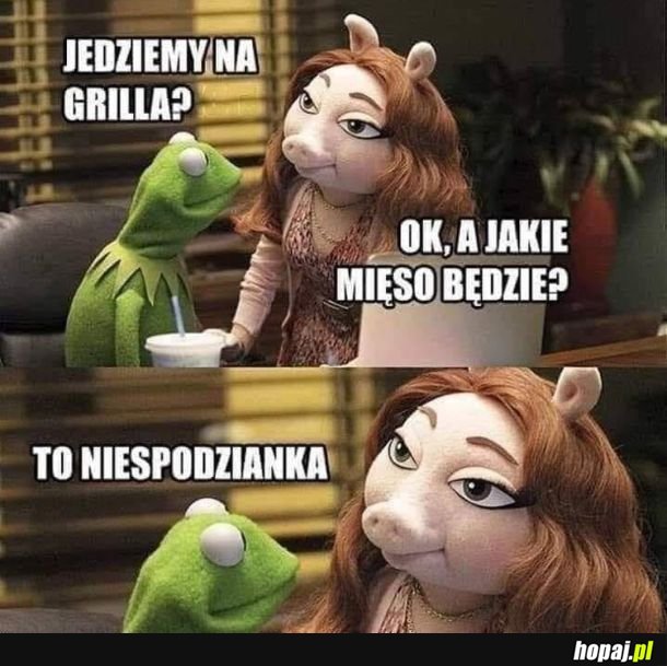 Jedziemy na grilla?