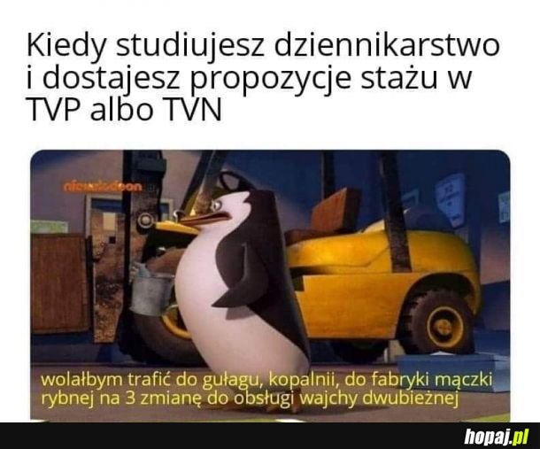 Z deszczu pod rynnę...