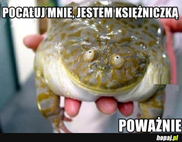 NO POCAŁUJ MNIE