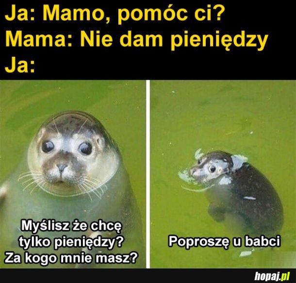 Pieniądze