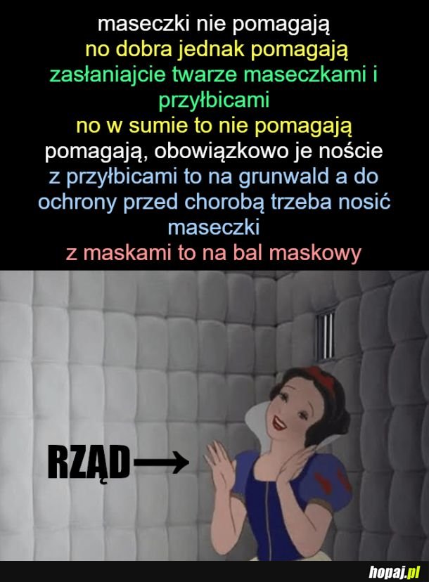 Tak widzę zalecenia i poczynania rządu