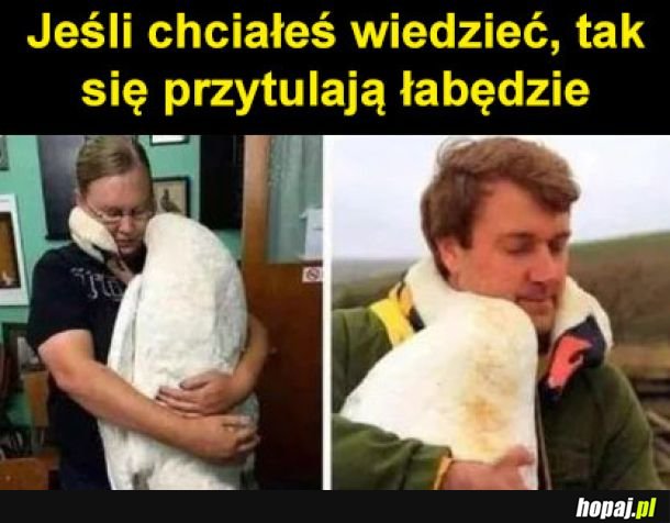 Łabuńć