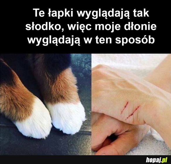 Coś za coś
