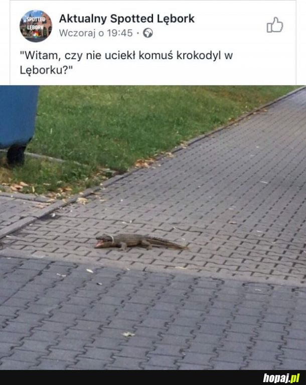  Krokodyl 