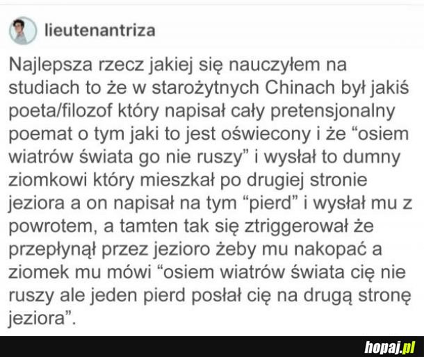 Studia uczą!