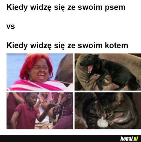 SUBTELNA RÓŻNICA