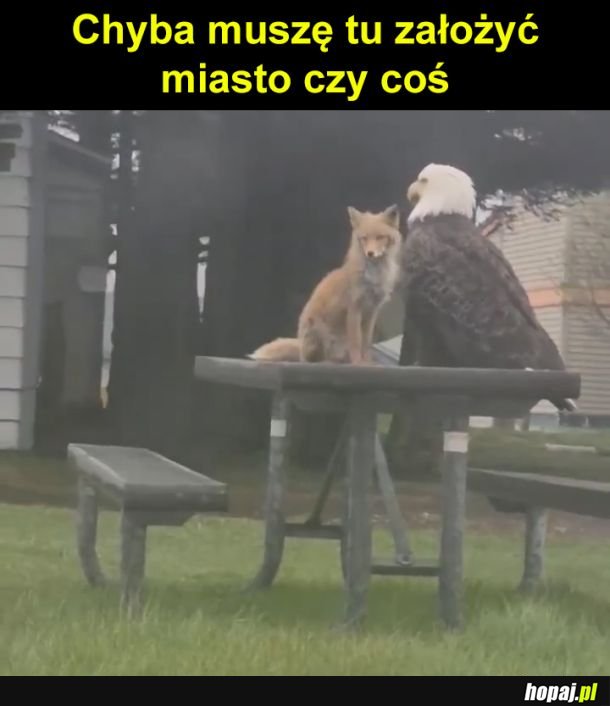 Kraj od razu