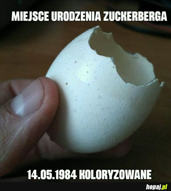 Miejsce urodzin zuckerberga