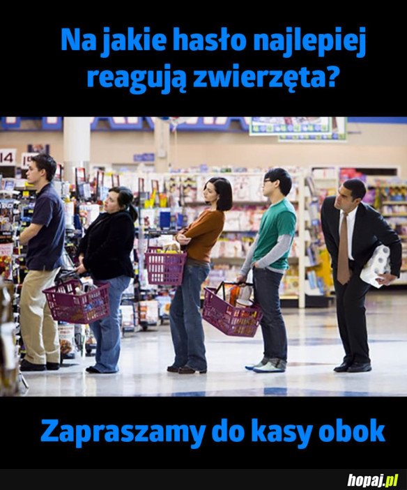 HASŁO DLA ZWIERZĄT