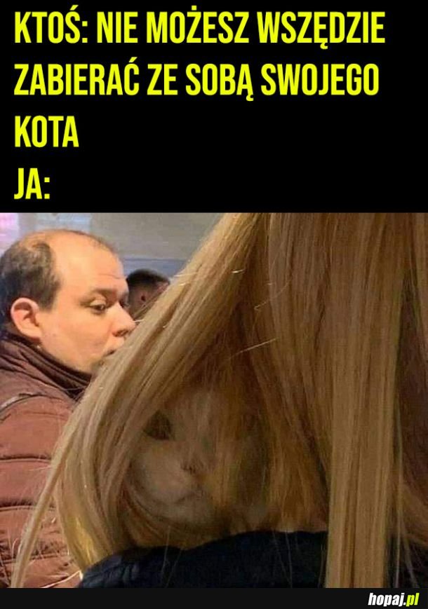 Przemyt kota