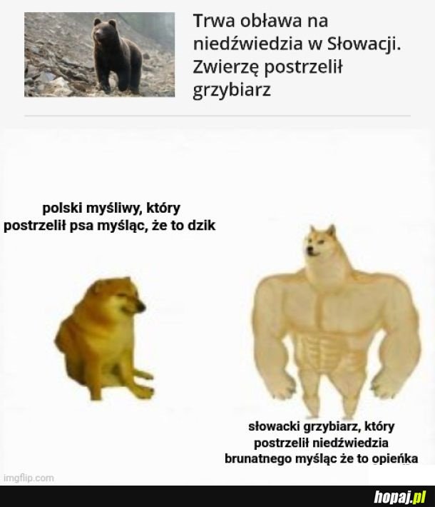 Pomyłki się zdarzają