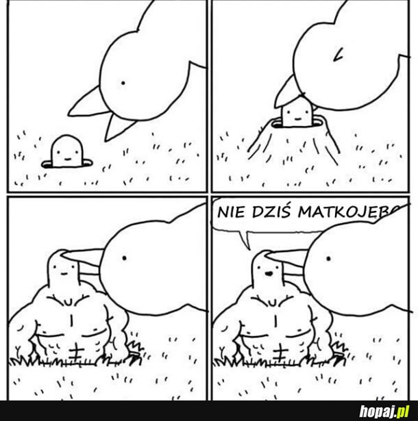 Nie dziś