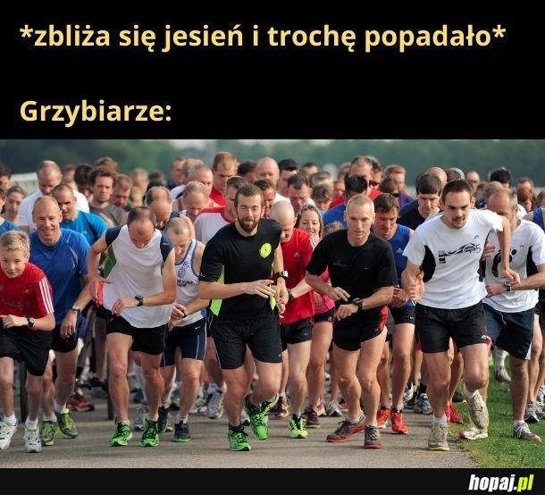 Grzybiarze o 5 nad ranem