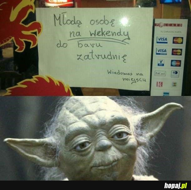 Yoda zatrudnia