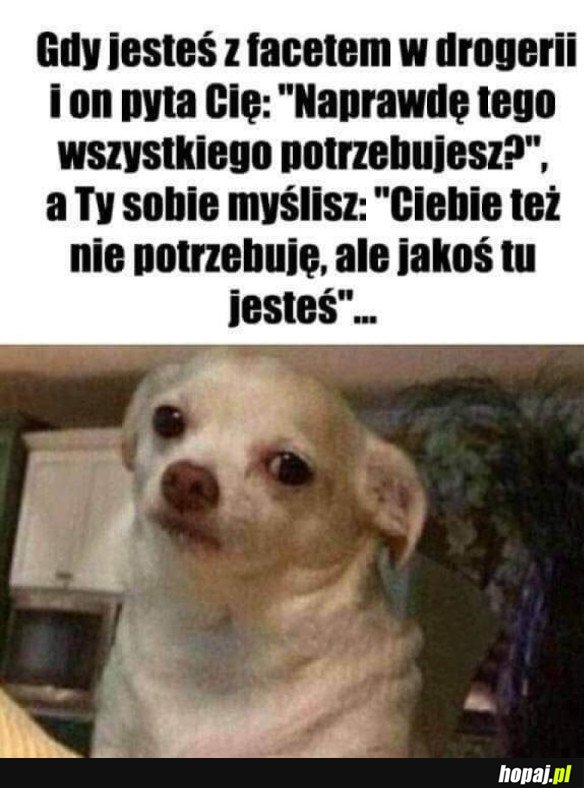 NIE POTRZEBUJĘ CIĘ