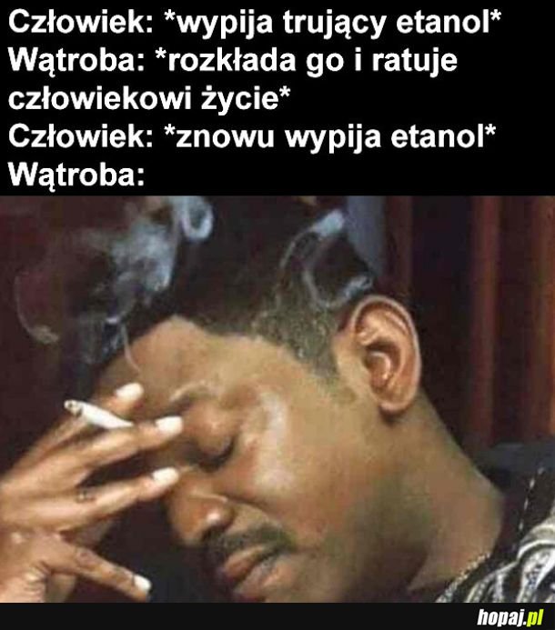 Biedna wątroba