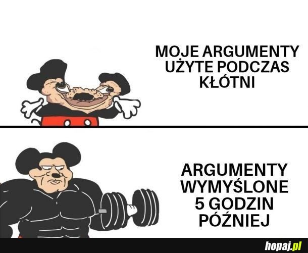 Moje argumenty