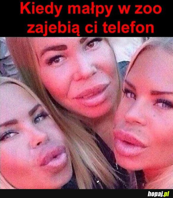 KIEDY MAŁPY ZABIORĄ CI TELEFON