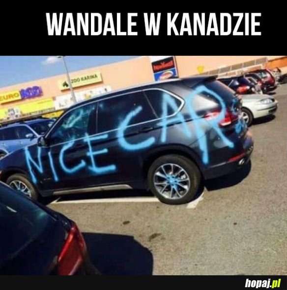 Wandale