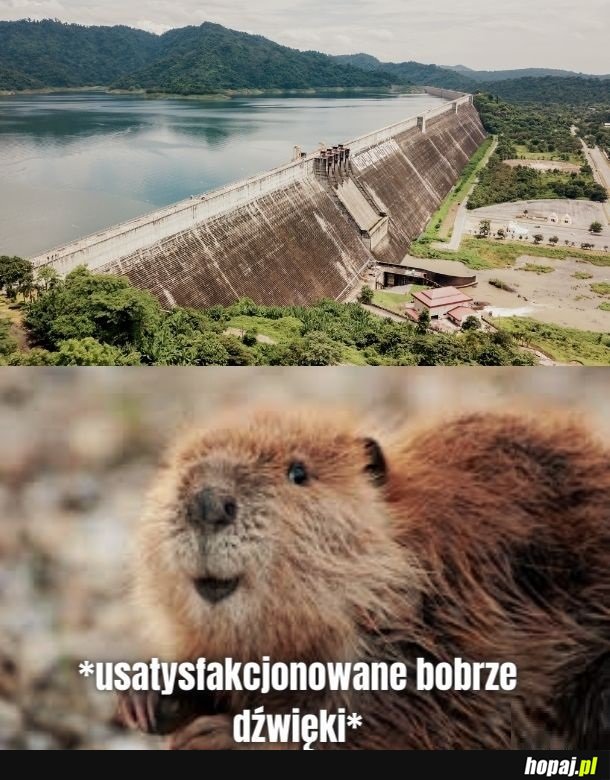 Ale pięknie ta woda nie płynie!