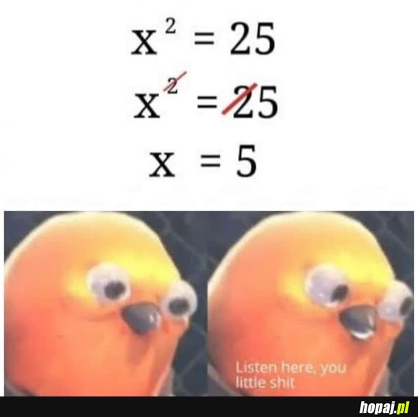  Matematyka 
