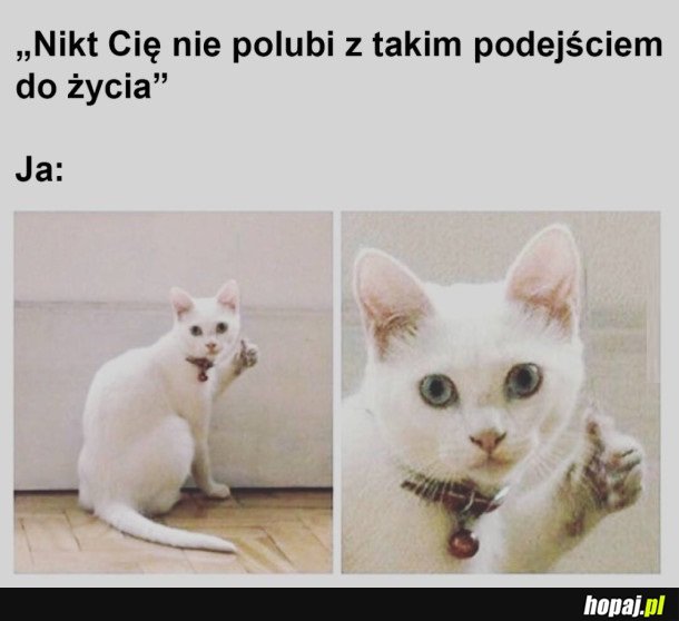 NO TO TRUDNO