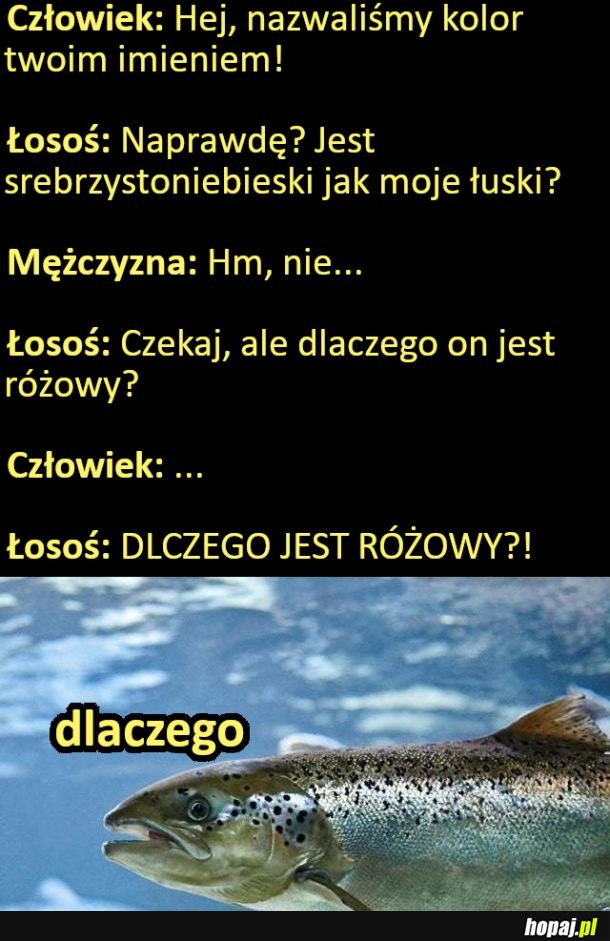 Łososiowy kolor