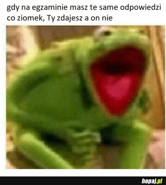 OSZUKALI MNIE