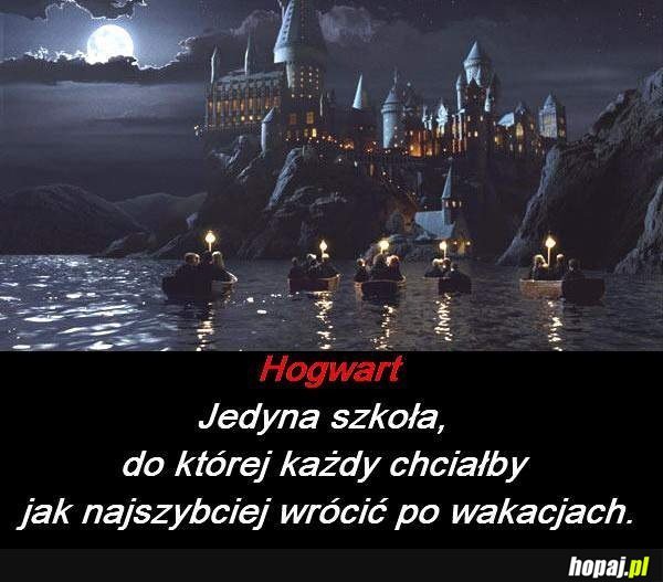Jedyna szkoła, do której każdy chciałby jak najszybciej wrócić po wakacjach