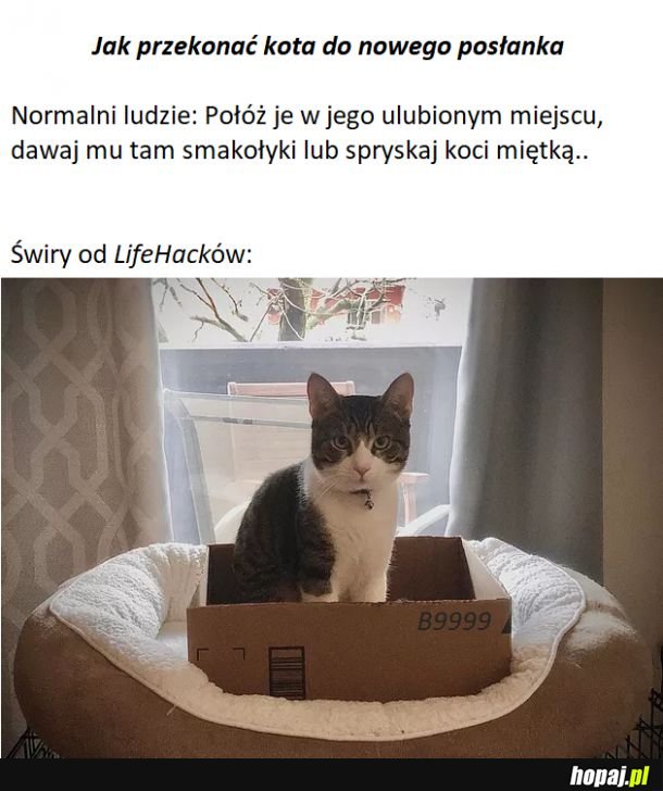 Takie życiowe..