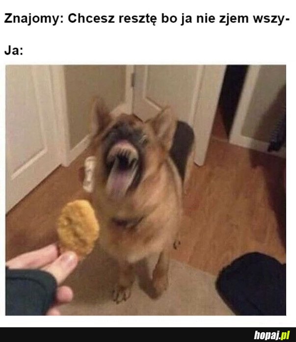 JESTEM ZACHŁANNY NA JEDZENIE