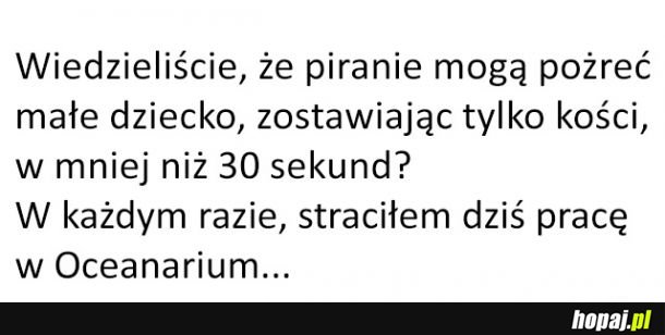 Piranie są naprawdę groźne