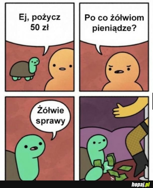 Żółwie sprawy