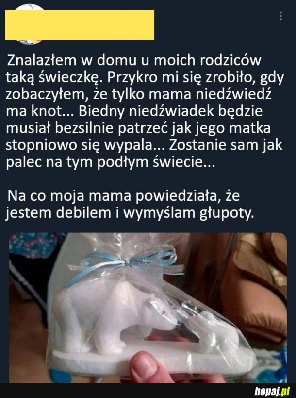 Biedny niedźwiadek